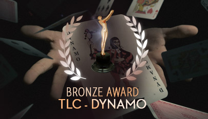 DYNAMO BRONZE AWARD