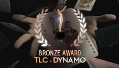 DYNAMO BRONZE AWARD