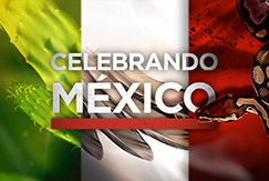 discovery_mexico_1_17.jpg